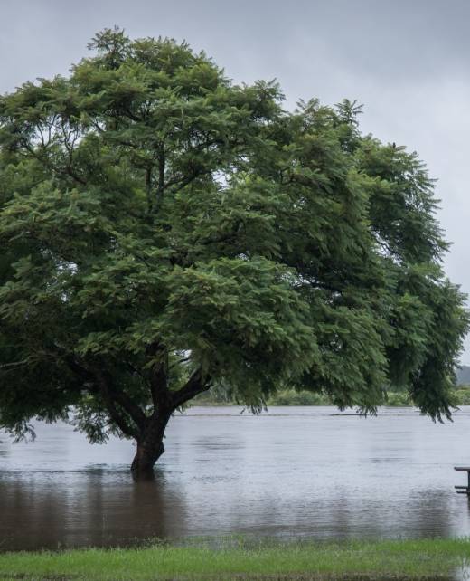 flood-waters-2022-11-14-10-05-26-utc flood-waters-2022-11-14-10-05-26-utc